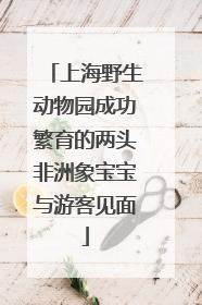 上海野生动物园成功繁育的两头非洲象宝宝与游客见面