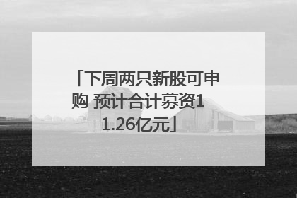 下周两只新股可申购 预计合计募资11.26亿元