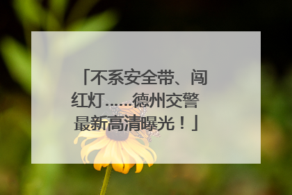 不系安全带、闯红灯……德州交警最新高清曝光！