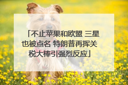 不止苹果和欧盟 三星也被点名 特朗普再挥关税大棒引强烈反应