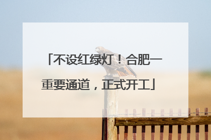 不设红绿灯！合肥一重要通道，正式开工