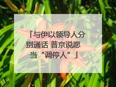与伊以领导人分别通话 普京说愿当“调停人”