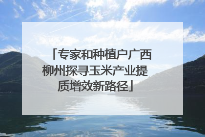 专家和种植户广西柳州探寻玉米产业提质增效新路径