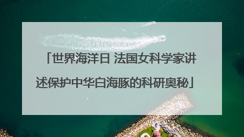 世界海洋日 法国女科学家讲述保护中华白海豚的科研奥秘