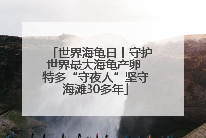 世界海龟日丨守护世界最大海龟产卵 特多“守夜人”坚守海滩30多年