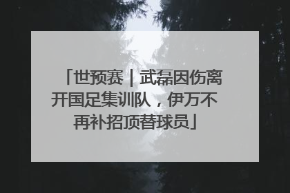 世预赛｜武磊因伤离开国足集训队，伊万不再补招顶替球员