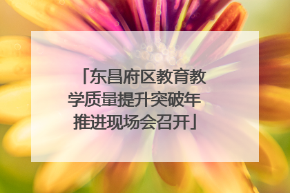 东昌府区教育教学质量提升突破年推进现场会召开