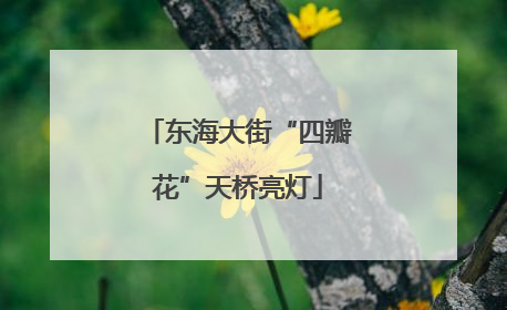 东海大街“四瓣花”天桥亮灯
