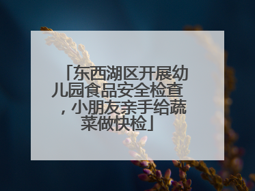东西湖区开展幼儿园食品安全检查，小朋友亲手给蔬菜做快检