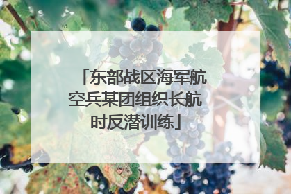 东部战区海军航空兵某团组织长航时反潜训练