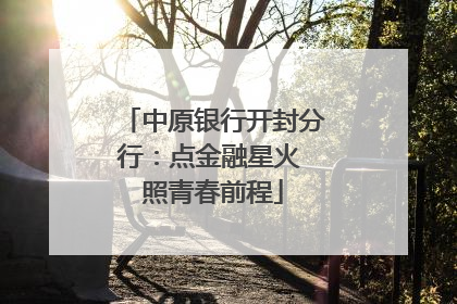中原银行开封分行：点金融星火 照青春前程