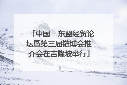 中国—东盟经贸论坛暨第三届链博会推介会在吉隆坡举行