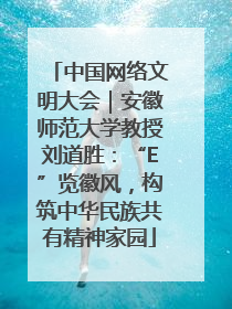 中国网络文明大会｜安徽师范大学教授刘道胜：“E”览徽风，构筑中华民族共有精神家园