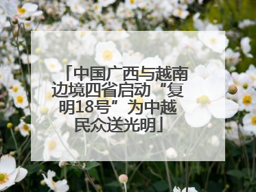 中国广西与越南边境四省启动“复明18号”为中越民众送光明