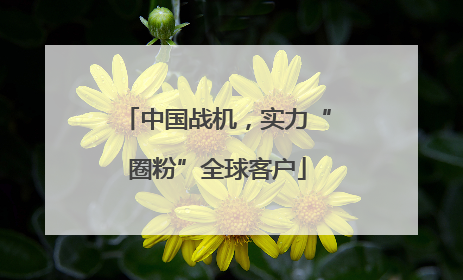 中国战机，实力“圈粉”全球客户
