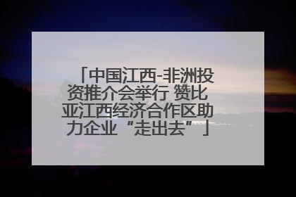 中国江西-非洲投资推介会举行 赞比亚江西经济合作区助力企业“走出去”