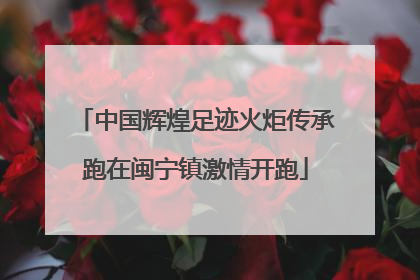 中国辉煌足迹火炬传承跑在闽宁镇激情开跑