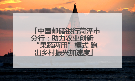 中国邮储银行菏泽市分行：助力农业创新 “果蔬两用”模式 跑出乡村振兴加速度