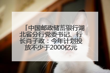 中国邮政储蓄银行湖北省分行党委书记、行长肖子政：今年计划投放不少于2000亿元支持支点建设