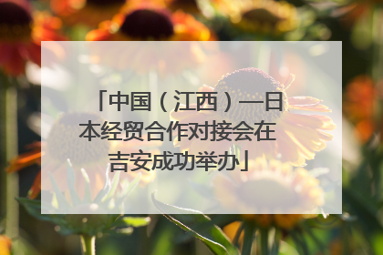 中国（江西）—日本经贸合作对接会在吉安成功举办