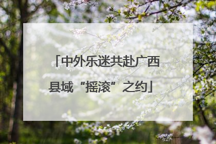 中外乐迷共赴广西县域“摇滚”之约