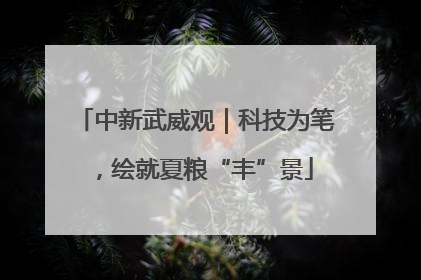 中新武威观｜科技为笔，绘就夏粮“丰”景