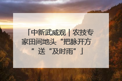 中新武威观｜农技专家田间地头“把脉开方”送“及时雨”