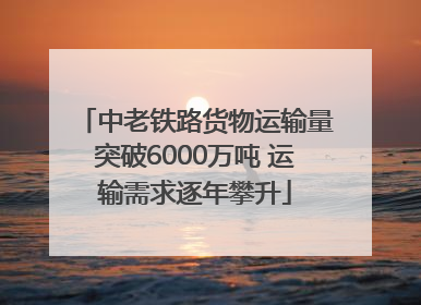中老铁路货物运输量突破6000万吨 运输需求逐年攀升