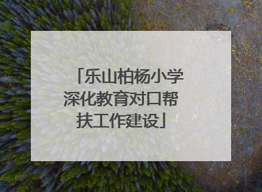 乐山柏杨小学深化教育对口帮扶工作建设