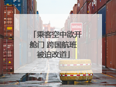 乘客空中欲开舱门 跨国航班被迫改道