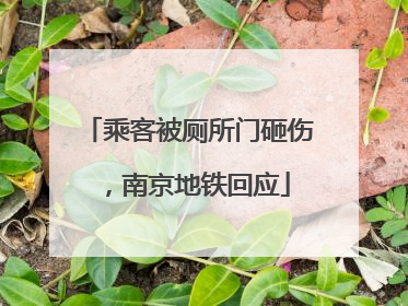 乘客被厕所门砸伤，南京地铁回应