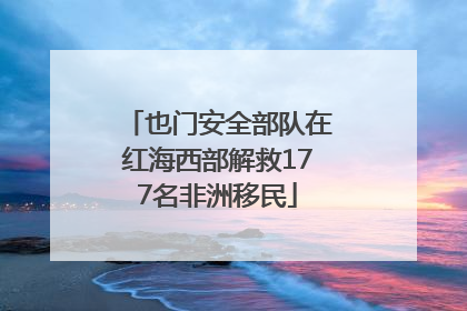 也门安全部队在红海西部解救177名非洲移民