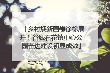 乡村焕新画卷徐徐展开！谷城石花镇中心公园奋进建设初显成效