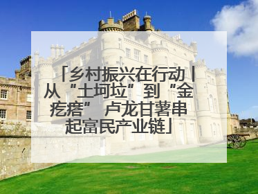 乡村振兴在行动丨从“土坷垃”到“金疙瘩” 卢龙甘薯串起富民产业链