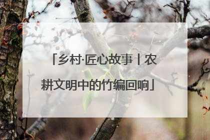 乡村·匠心故事丨农耕文明中的竹编回响
