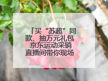 买“苏超”同款、抽万元礼包 京东运动采销直播间带你现场沉浸式看球赛