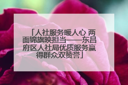 人社服务暖人心 两面锦旗映担当——东昌府区人社局优质服务赢得群众双赞誉