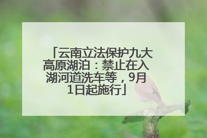 云南立法保护九大高原湖泊：禁止在入湖河道洗车等，9月1日起施行