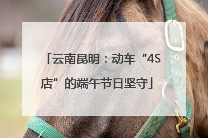 云南昆明：动车“4S店”的端午节日坚守