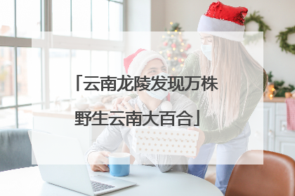 云南龙陵发现万株野生云南大百合