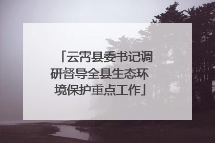 云霄县委书记调研督导全县生态环境保护重点工作