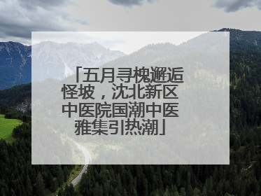 五月寻槐邂逅怪坡，沈北新区中医院国潮中医雅集引热潮