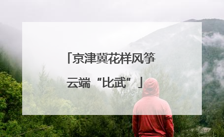 京津冀花样风筝云端“比武”