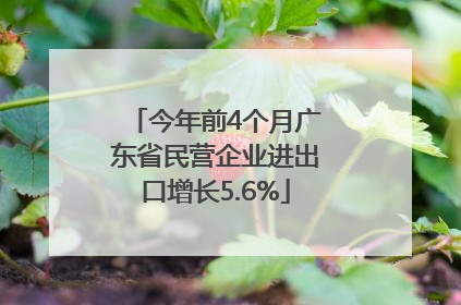 今年前4个月广东省民营企业进出口增长5.6%