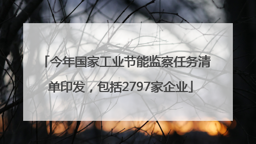 今年国家工业节能监察任务清单印发，包括2797家企业