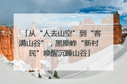 从“人去山空”到“客满山谷”，黑麋峰“新村民”唤醒沉睡山谷