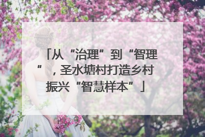 从“治理”到“智理”，圣水塘村打造乡村振兴“智慧样本”