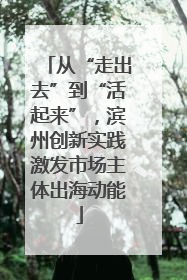 从“走出去”到“活起来”，滨州创新实践激发市场主体出海动能
