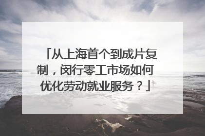 从上海首个到成片复制，闵行零工市场如何优化劳动就业服务？
