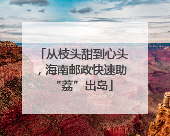 从枝头甜到心头，海南邮政快速助“荔”出岛